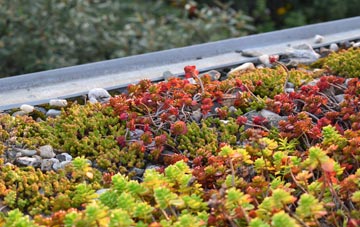 the cost of Burneside green roof installation