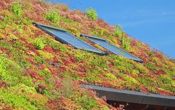 Burneside living roof systems