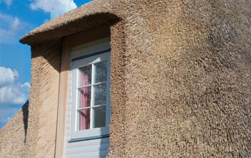 Burneside thatch roof disadvantages