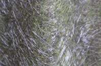 Burneside fibreglass roof work